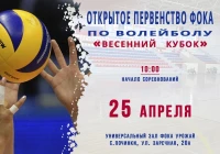 Открытое Первенство по волейболу "Весенний кубок".