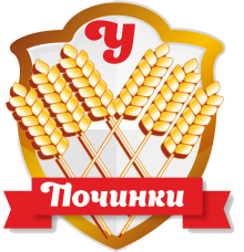 «Сила спорта СВОим»